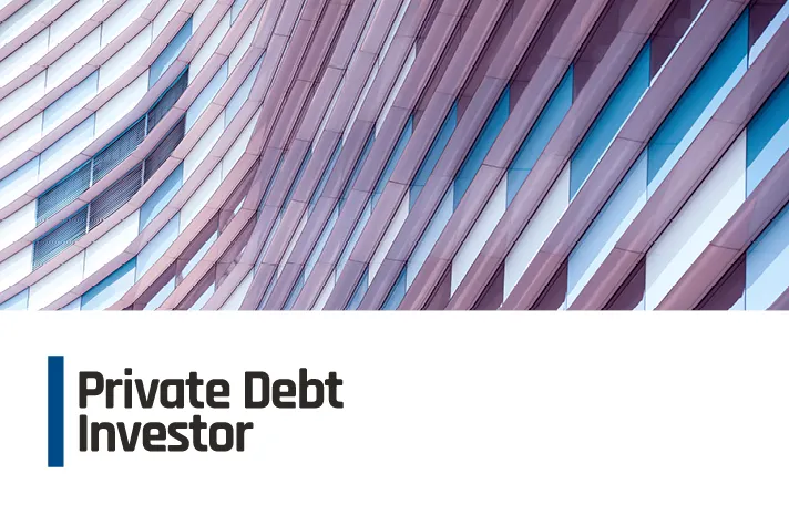 Private Debt Investor: LPs seek diversification in alternative credit &ndash; report